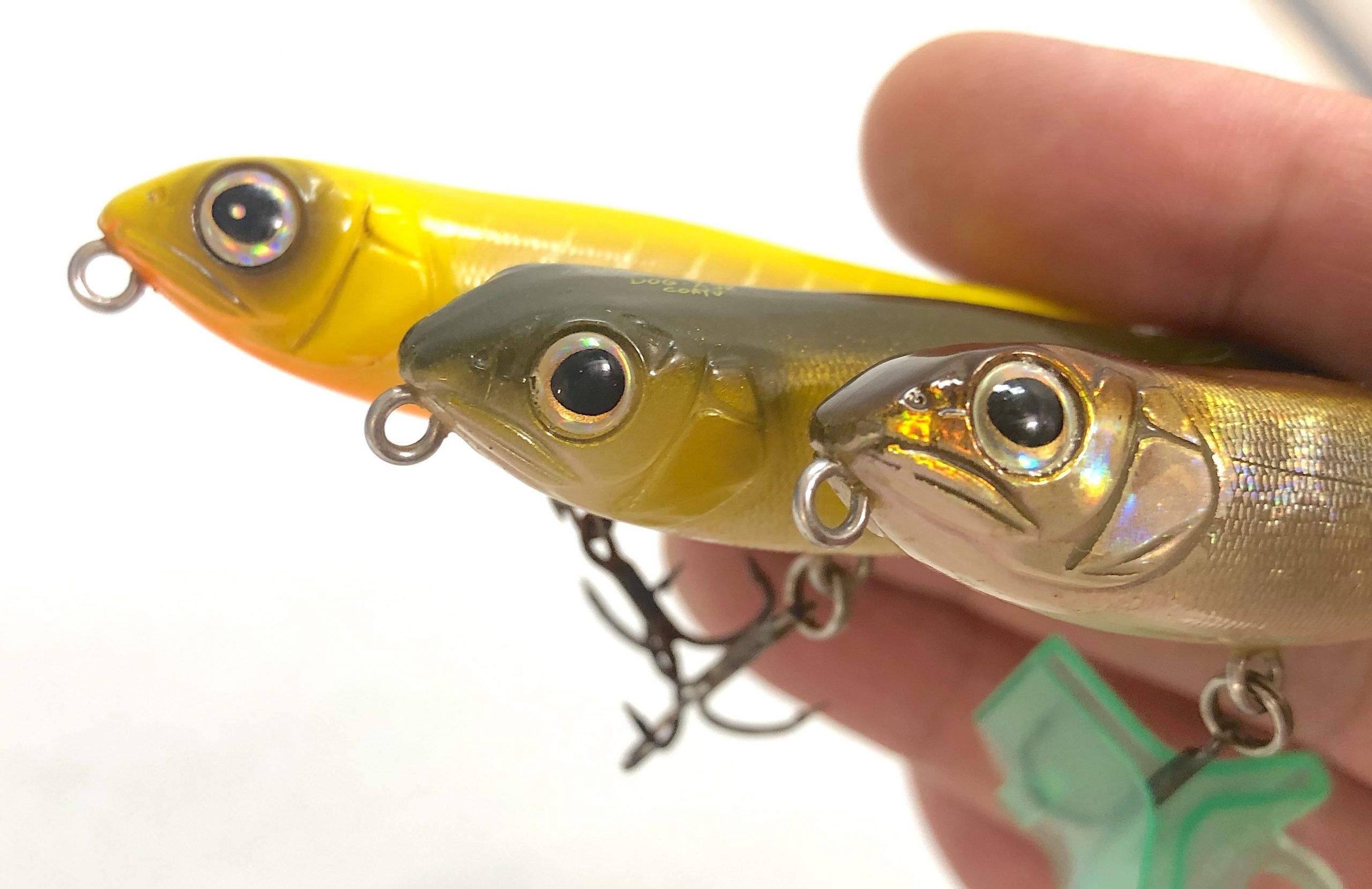 ルアー インプレ】メガバスの小型トップウォーター『ドッグX jr