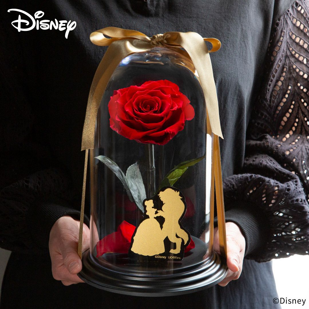 デスティニーローズディズニーエディション(美女と野獣