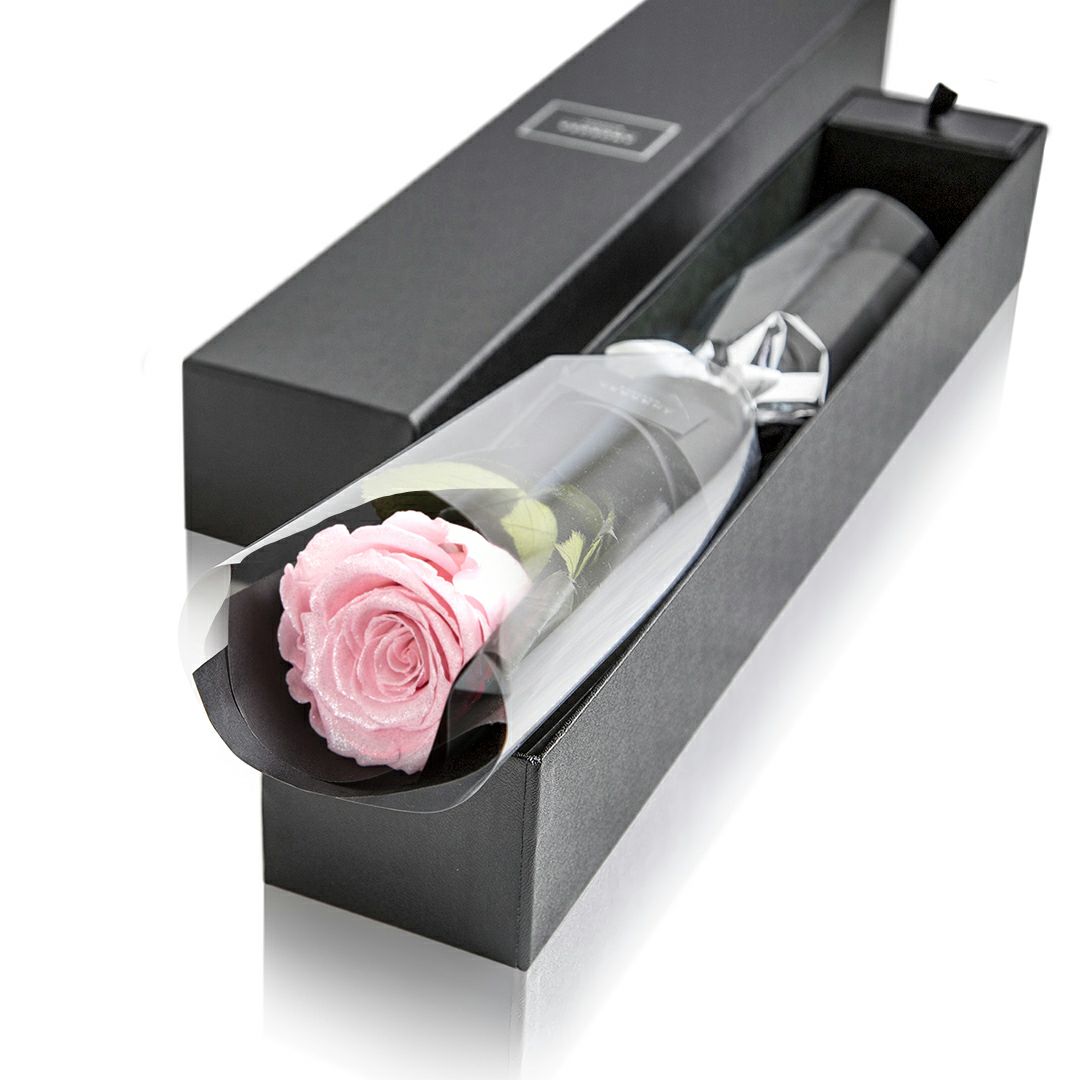 000000000175-01-m.jpg?t=