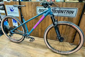 こんなん出来ちゃいました！SANTACRUZ CHAMELEON カスタム | 1989年