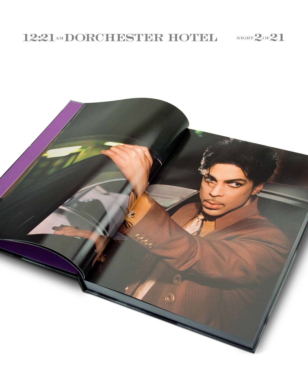 Prince / Randee St. Nicholas / 21 Nights - Books - Projects - Meat