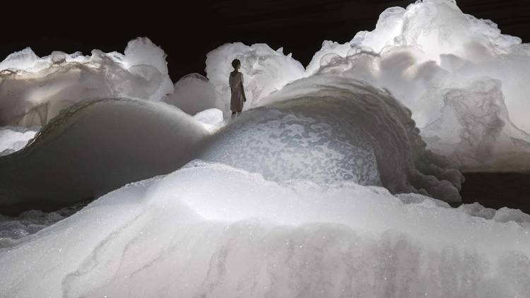 Metamorphosis Garden（変容の庭）