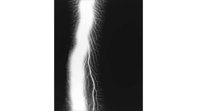 杉本博司 絶滅写真