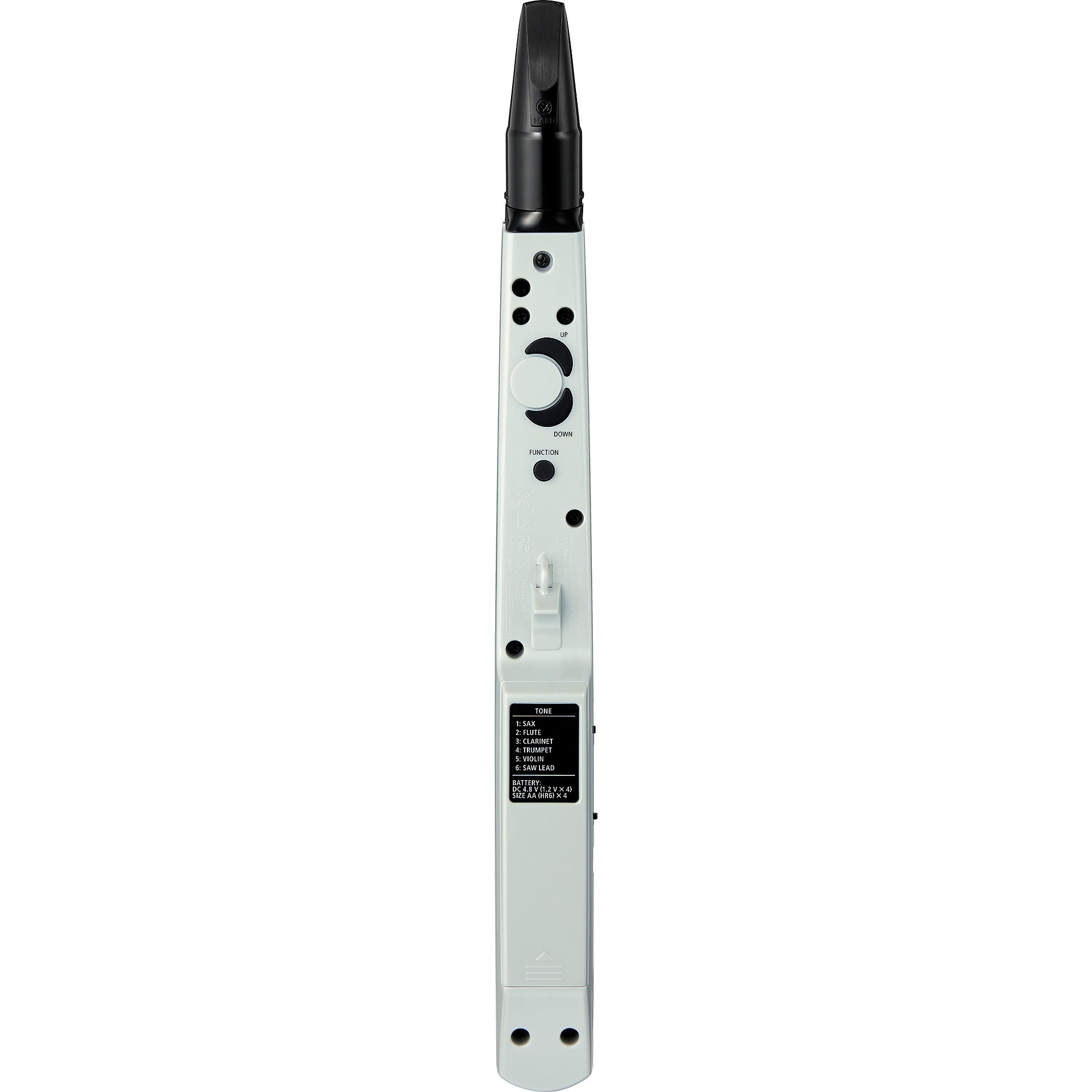 Roland AE-01 Aerophone mini Digital Wind Instrument | Music & Arts