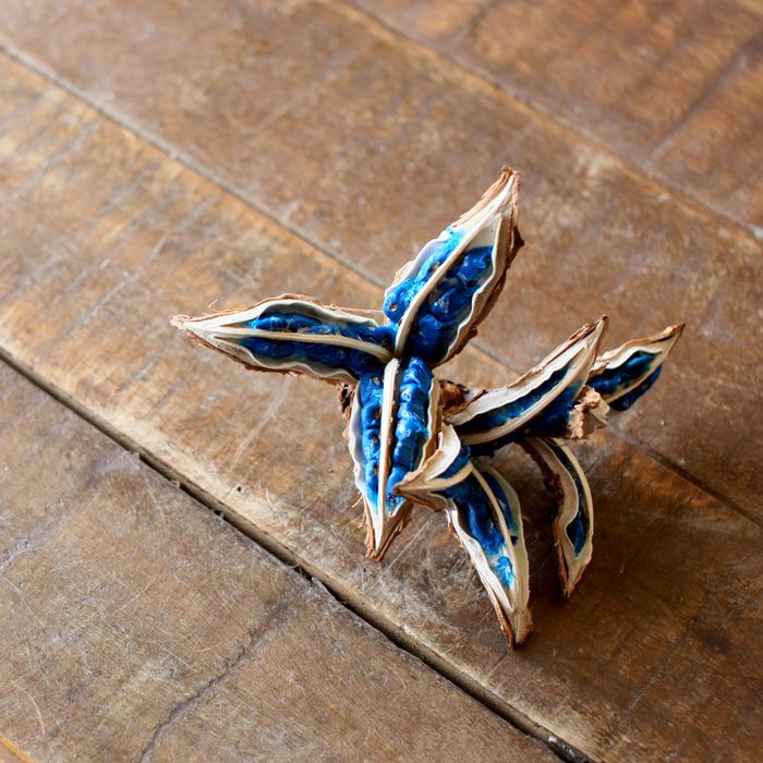 000000000748-01.jpg?size=l&w=