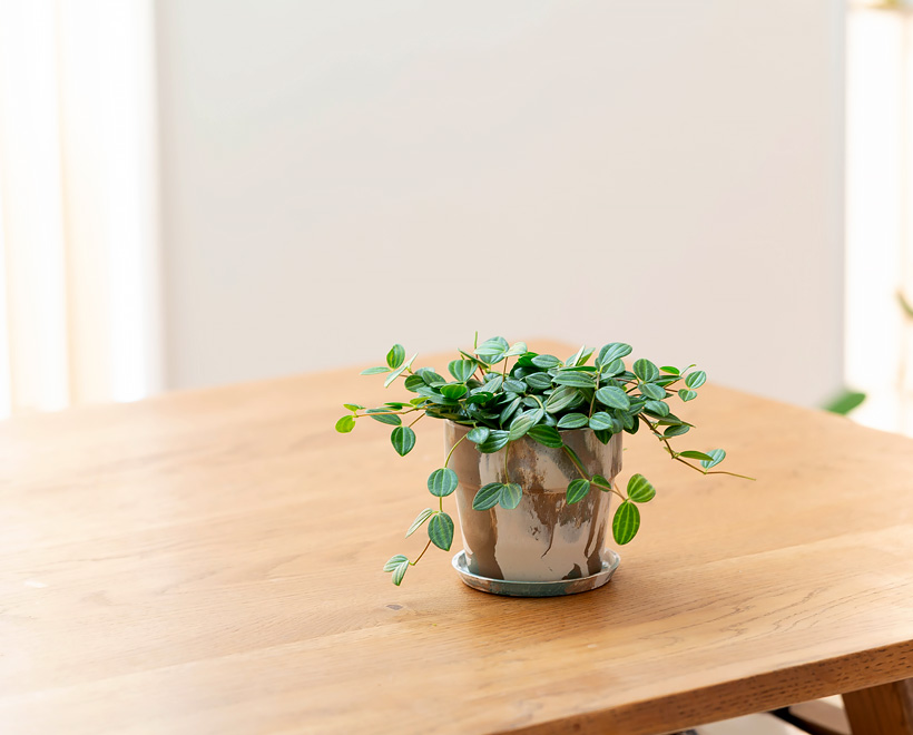 マーブル模様植木鉢｜樹脂製で軽い！アーバンプランツポット