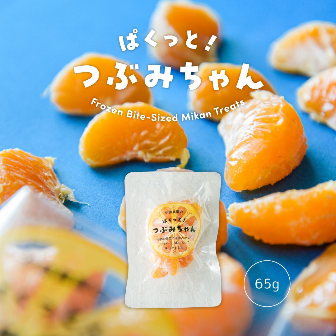 冷凍みかん(パクっとつぶみちゃん) 1粒タイプ 1袋500g | 有田みかん