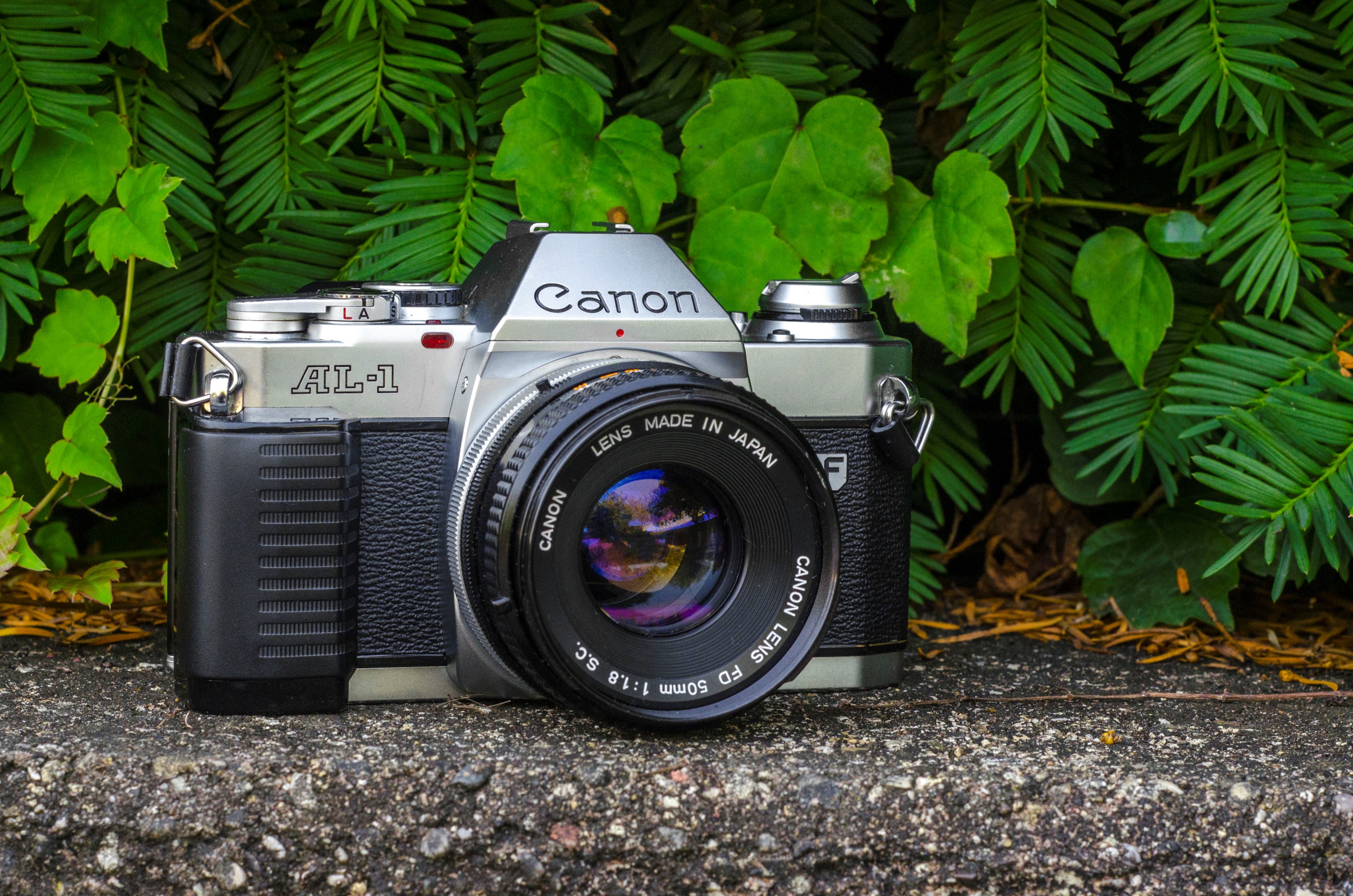Canon AL-1 (1982) - mike eckman dot com