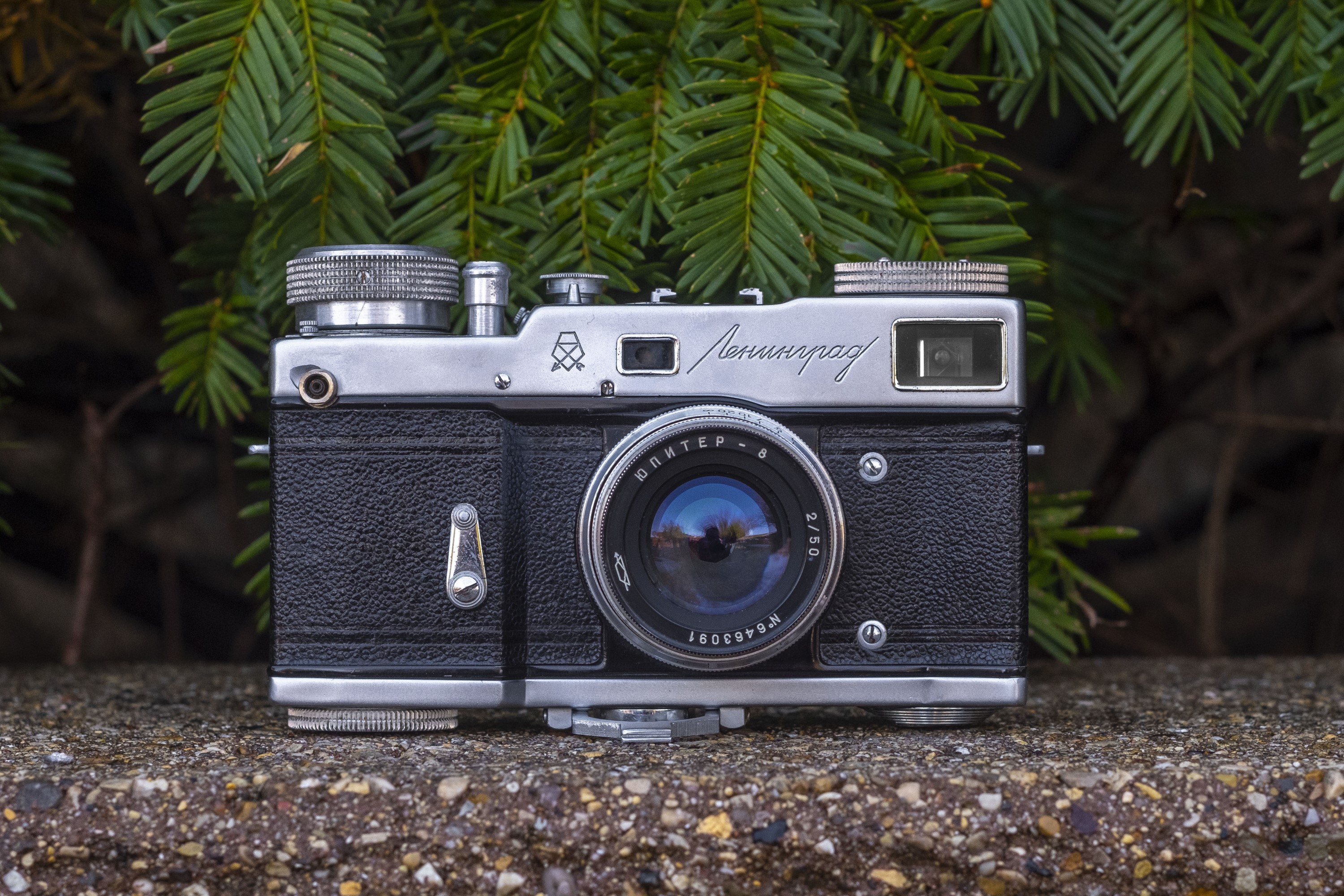 GOMZ Leningrad (1956) - mike eckman dot com