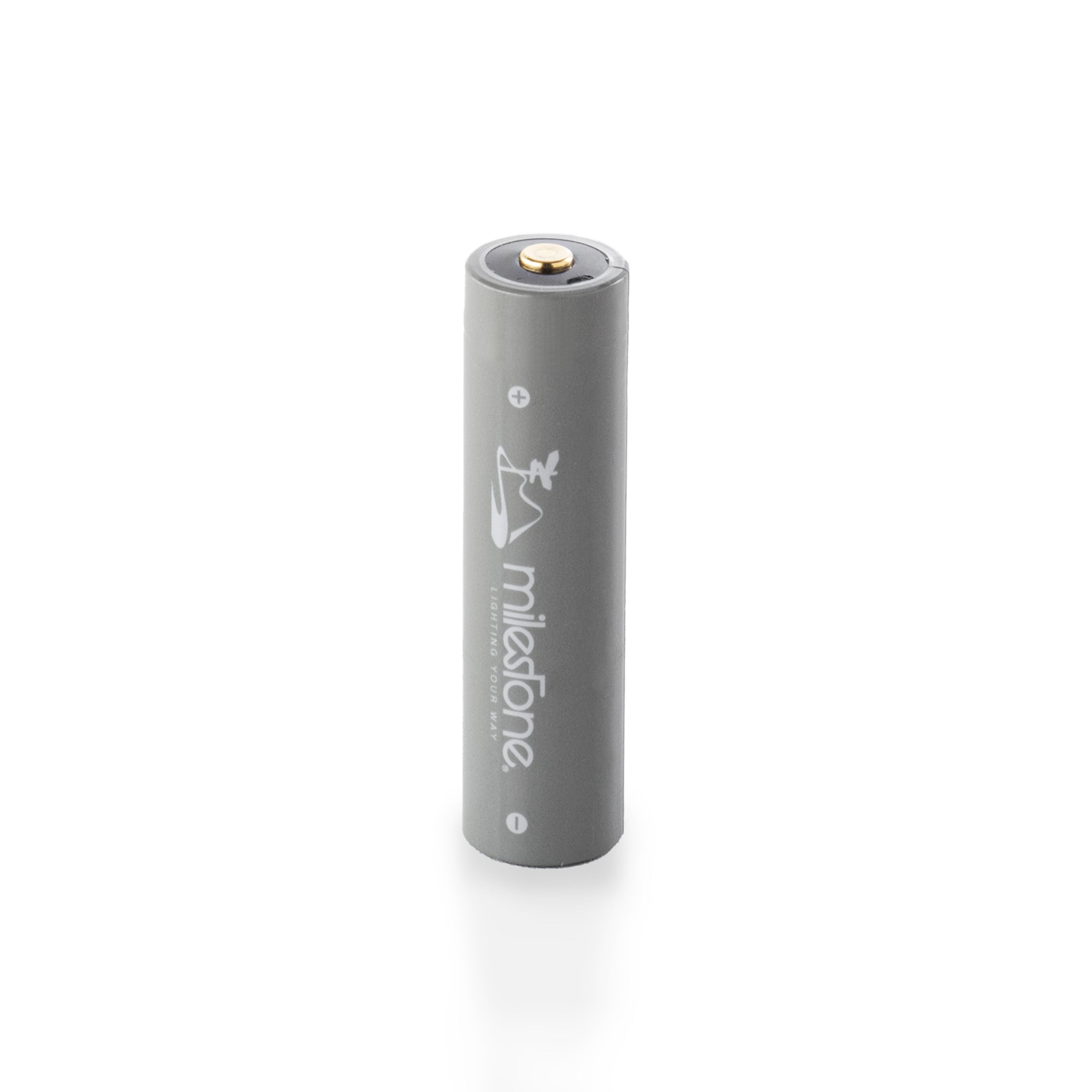 MS-i1 “Endurance Model” – milestone