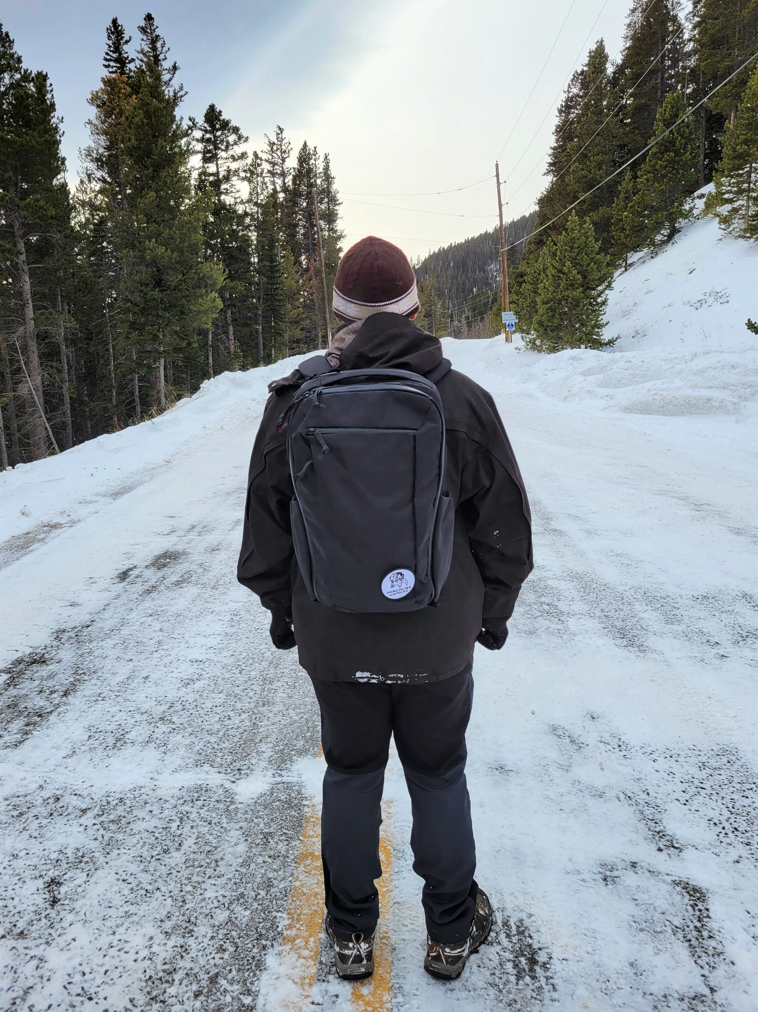 Evergoods x Carryology Civic Travel Bag 26 (CTB26), Phoenix II