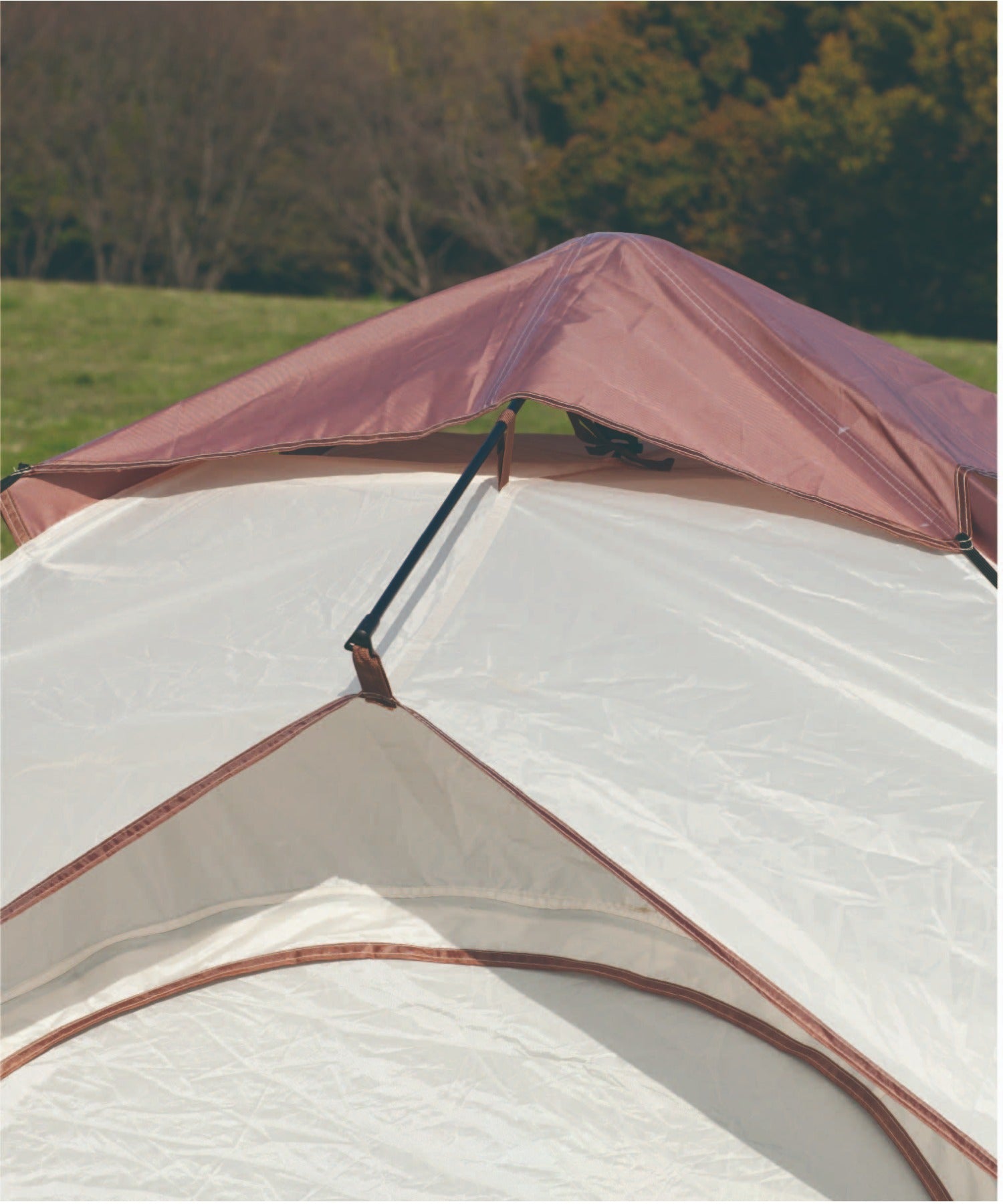 S'more / Tirami】 ポップアップテント – 《公式》moremore（モアモア）