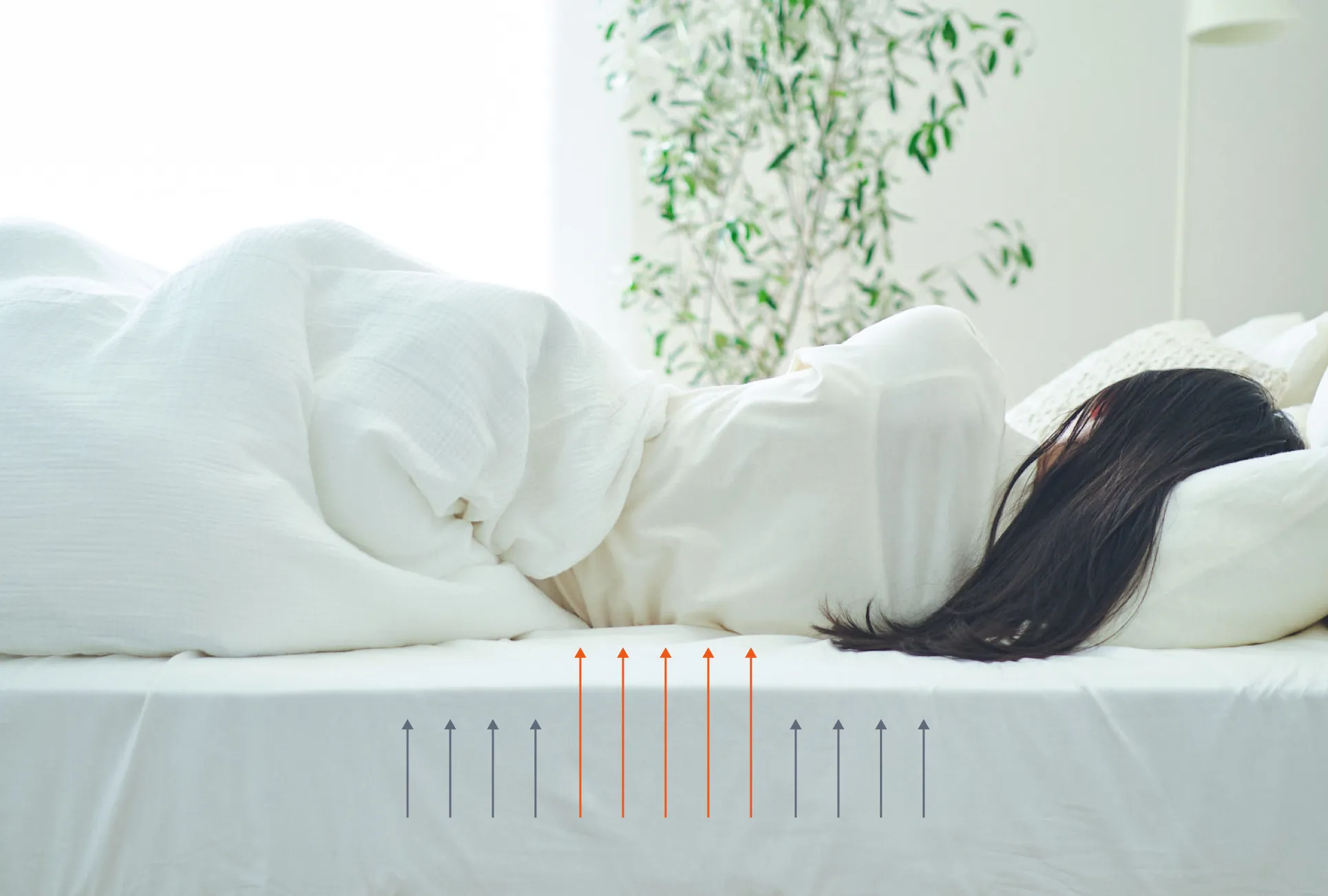 マットレス｜NELL マットレス （ネルマットレス）公式サイト