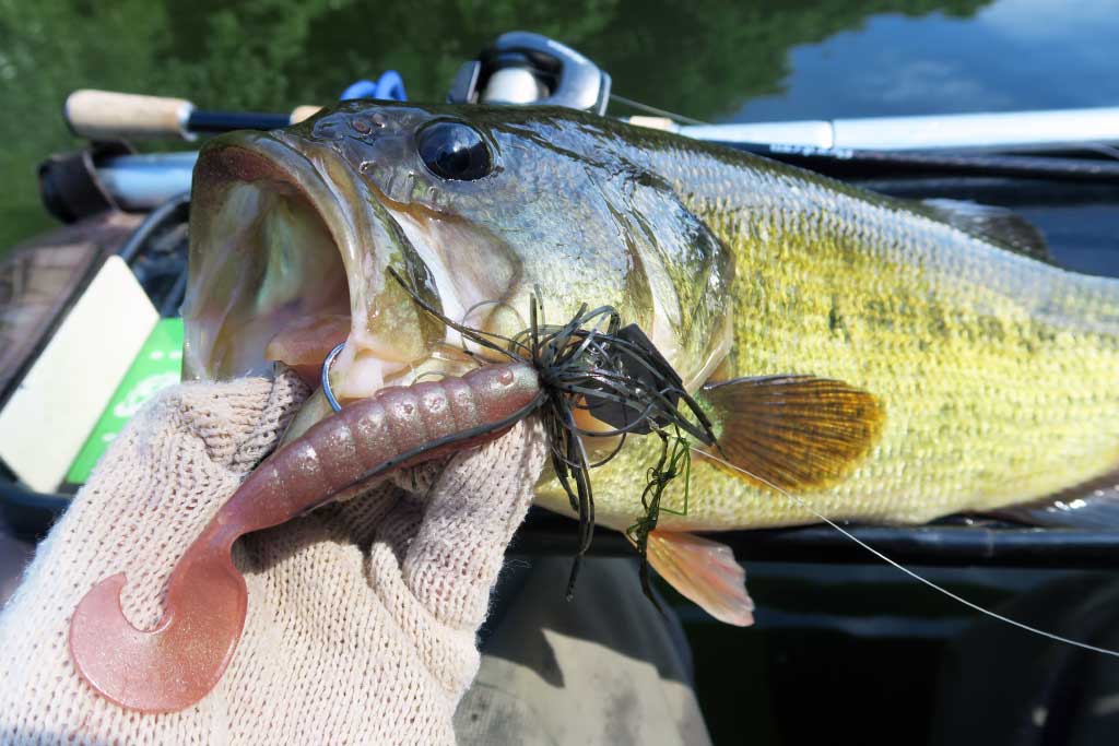 デプス「MSグラブ4インチ」インプレと使い方！様々なリグにマルチに