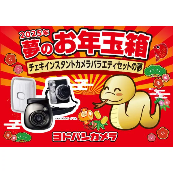 ヨドバシカメラの福袋「夢のお年玉箱」2025年を予想しよう✨ | 晴笑雨