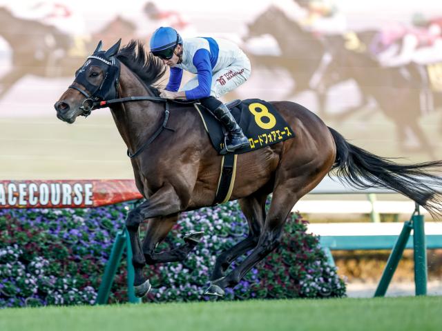 ラピスラズリ」の検索結果 - Yahoo!ニュース