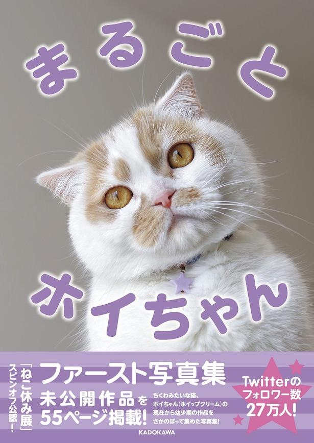 ホイちゃんをはじめスター猫が勢ぞろいの「ねこ休み展」が静岡＆広島に