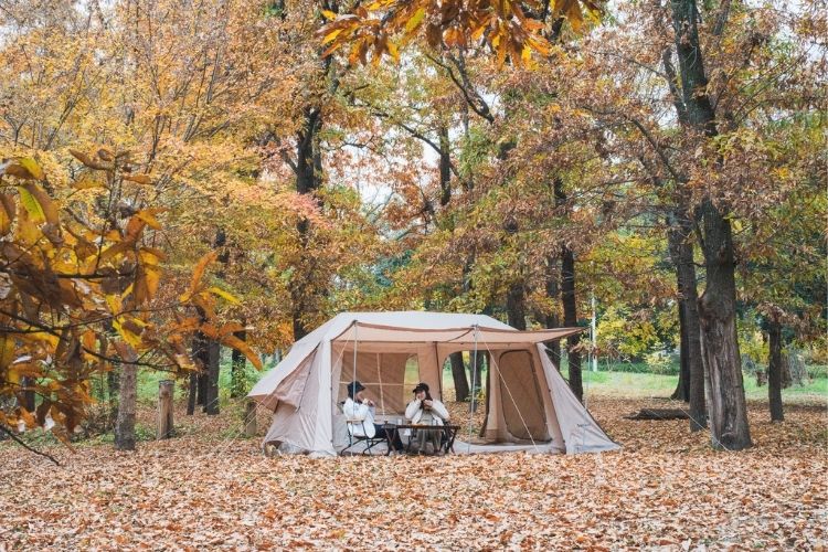 SENAI75【アップグレード版】features | ninehills