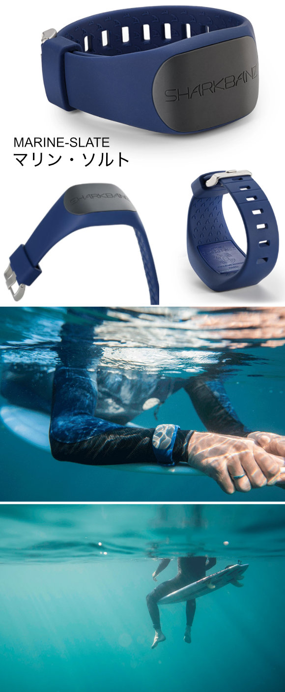 SHARKBANZ2（シャークバンズ2）」サーフィン中のサメの恐怖からあなた