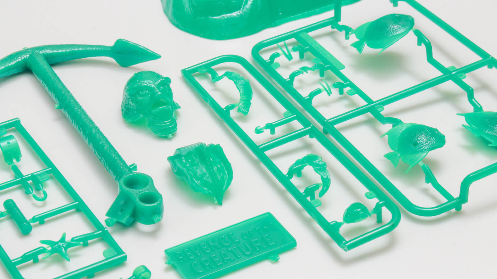 言葉がわからなくても、気持ちは伝わる。魚の写真にグッとくるエクス