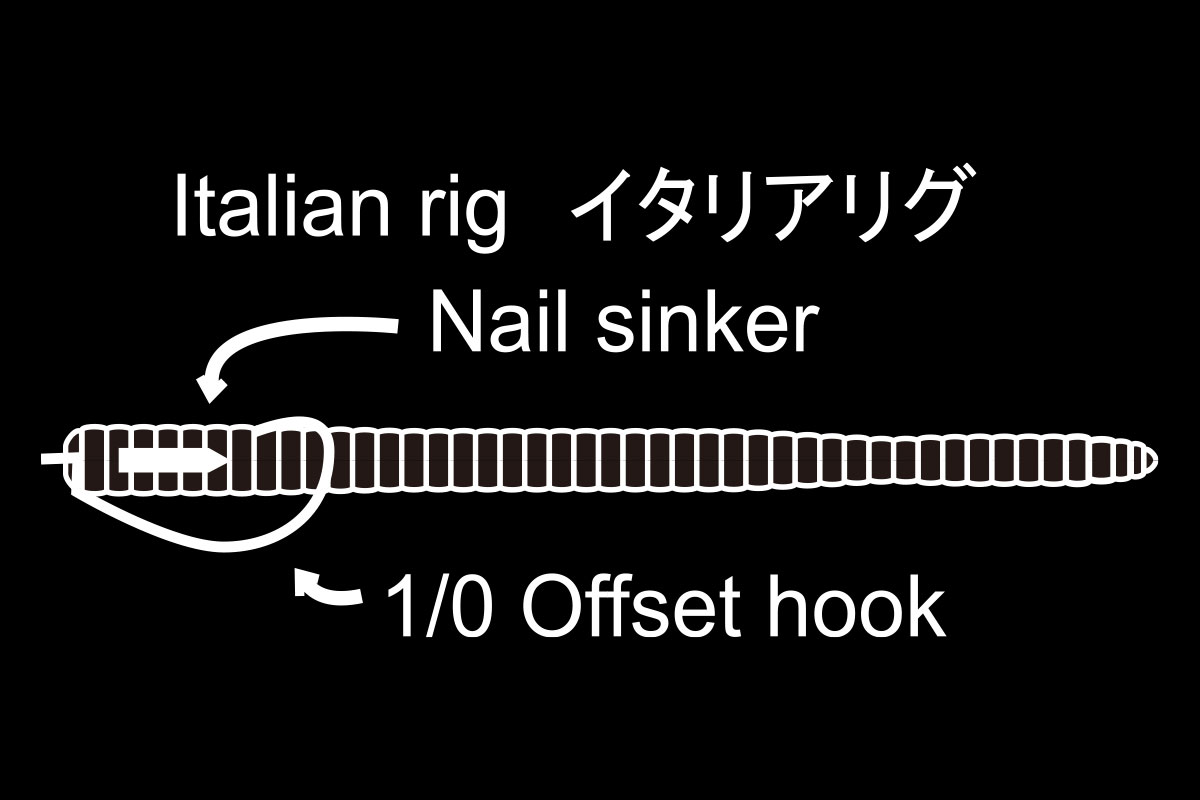 5-1/4″ LATTERIE | BASS | NORIES