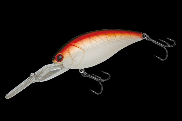 COMPLETE SQUARE 70 | BASS | NORIES