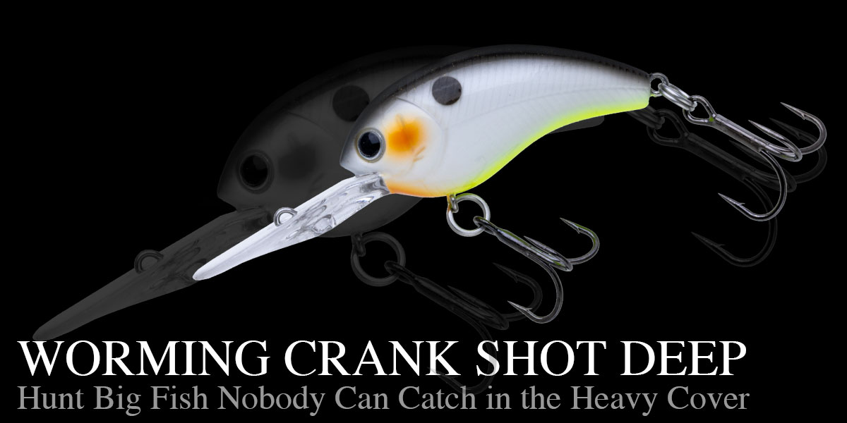WORMING CRANK SHOT DEEP | BASS | NORIES