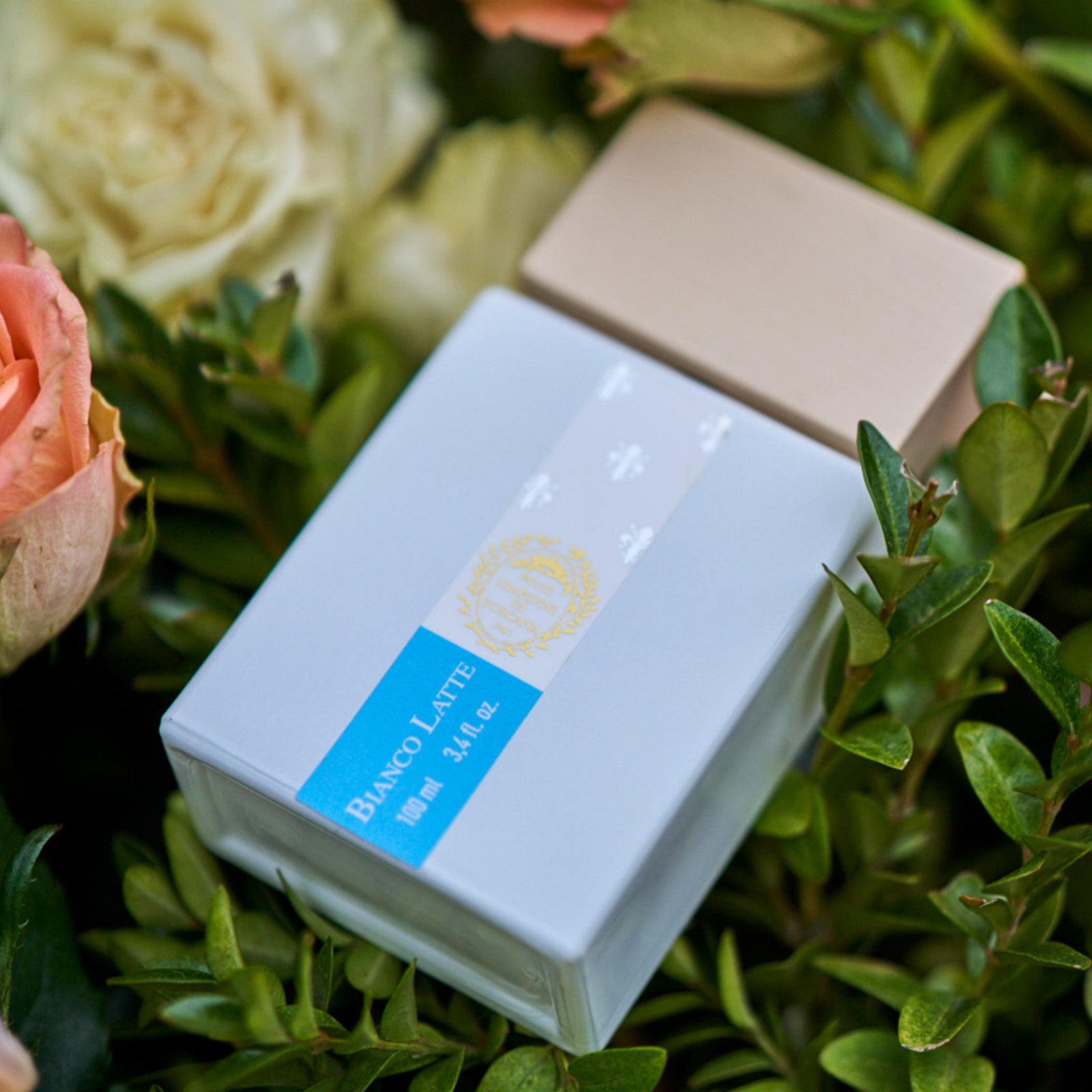 ビアンコ ラテ｜ビアンコ ラテ – NOSE SHOP