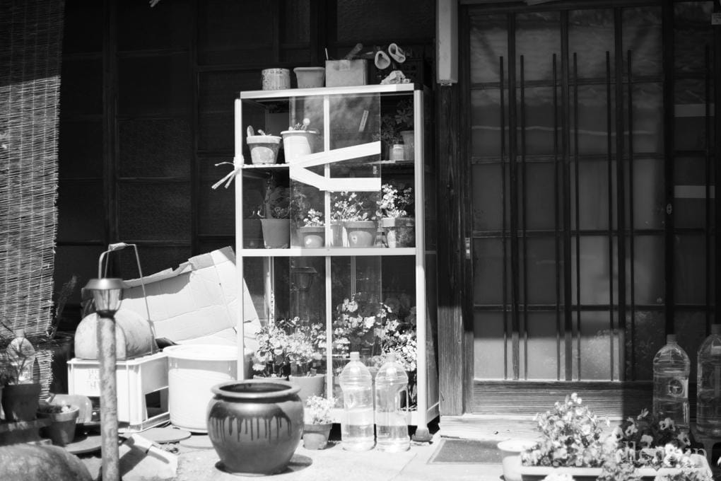 FUJINON 55mm F1.8 初期型M42 Review作例 フジノンおすすめオールドレンズ