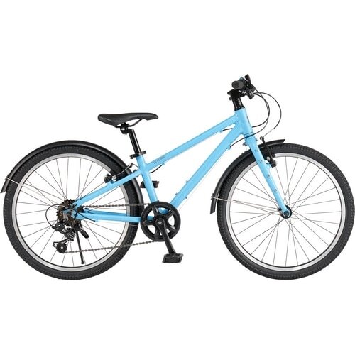 RITEWAY ( ライトウェイ ) キッズバイク ZIT 22 ( ジット 22 ) マット