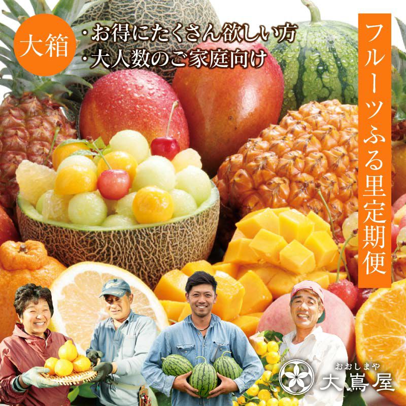 000000000011-01-m.jpg?t=