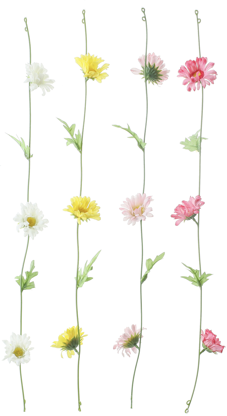 ｶﾞｰﾍﾞﾗｶﾞｰﾗﾝﾄﾞ: アウトレットアイテム ｜ YDMオンラインストア ｜ 横浜