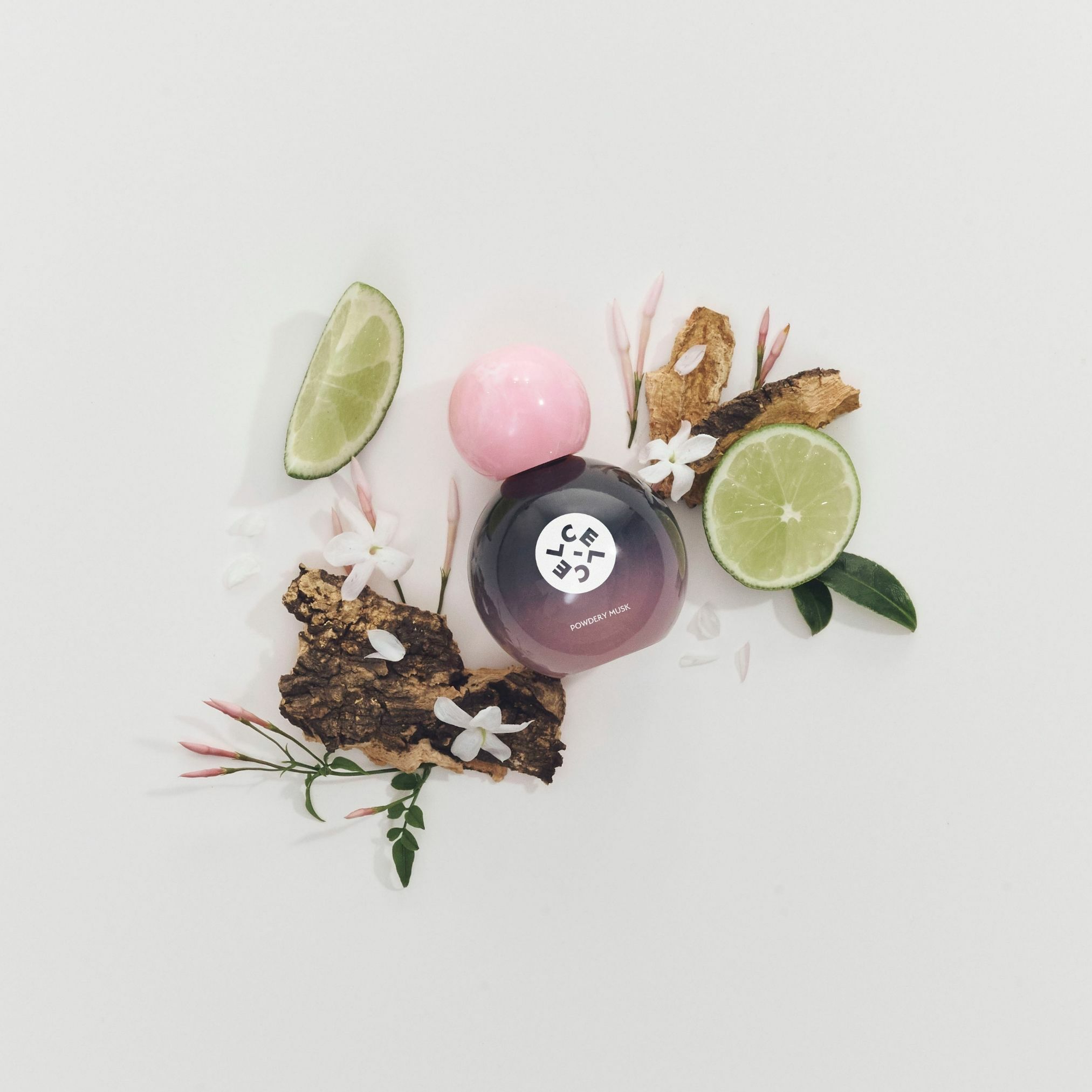 WOODY TOUCH | CEL-CEL