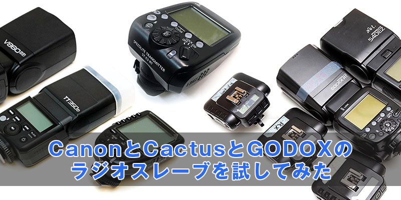 CanonとCactusとGODOXのラジオスレーブを試してみた | ぱんだりろぐ