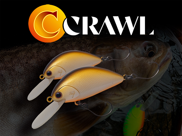 新製品のご案内 - Information | PALMS ｜ 株式会社パームス