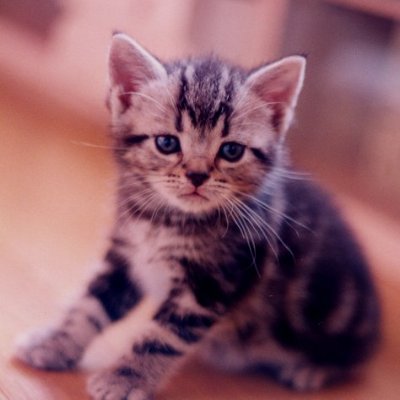 池松壮亮 雑誌　限定ロングTシャツ BARFOUT　ONE　