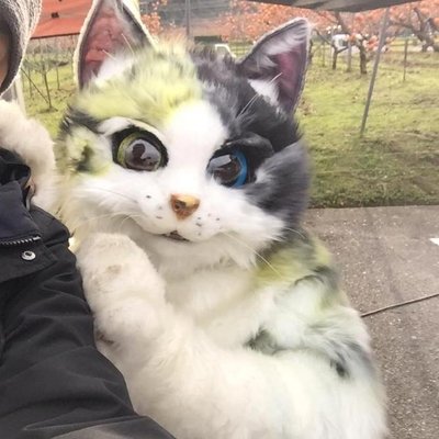 山田 三毛猫 (@ZeroZero93) / Posts / X