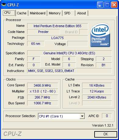 多和田新也のニューアイテム診断室