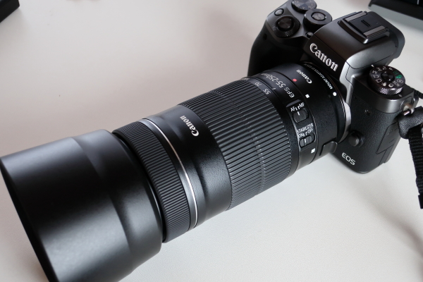 コスパ最強！Canon EF-S55-250mm IS STM | フォト天気