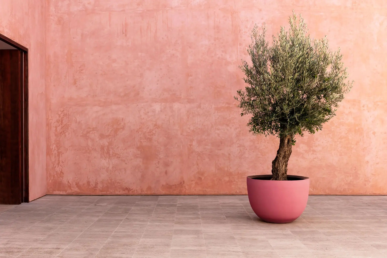 About DOMANI – PIANO ISOLA