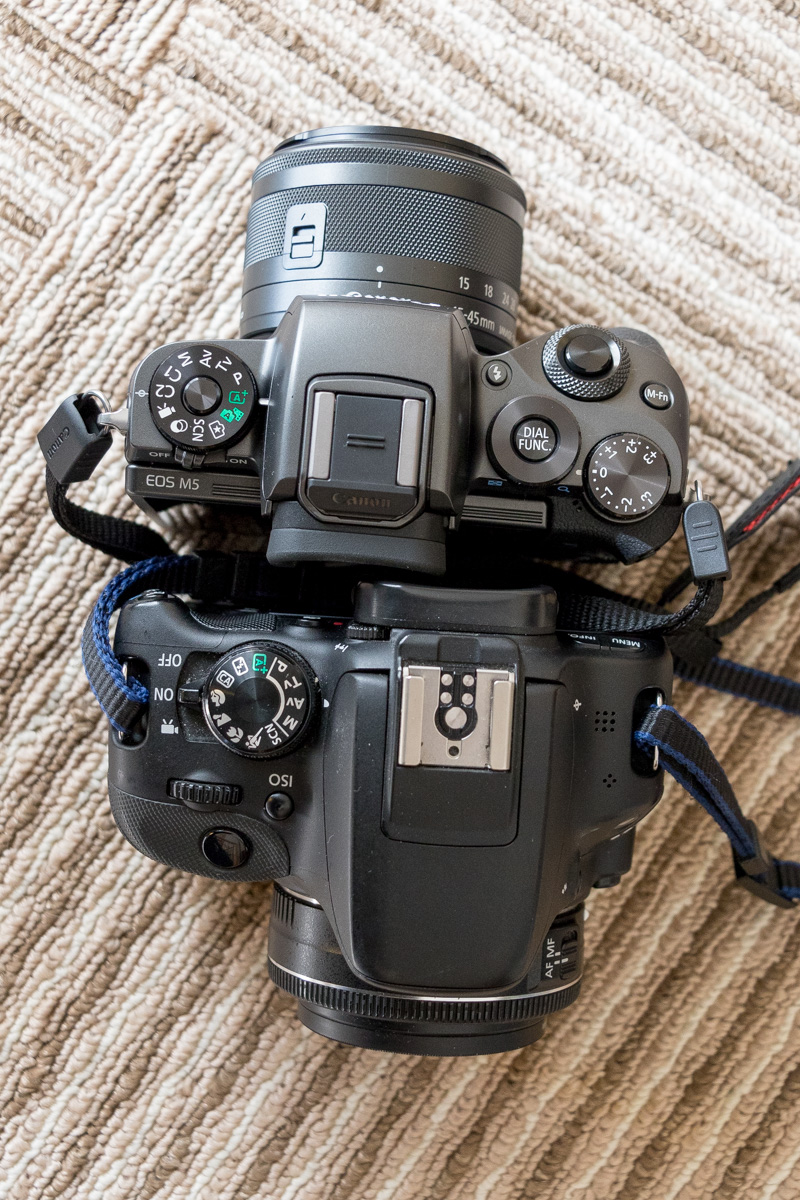 キヤノン初の本気ミラーレスEOS M5を8項目で実用レビュー。 | ぽちろぐ