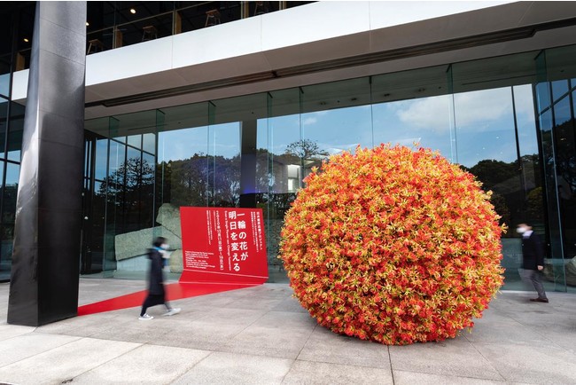 いけばな草月流 勅使河原茜家元による5,000本のグロリオーサを使用した