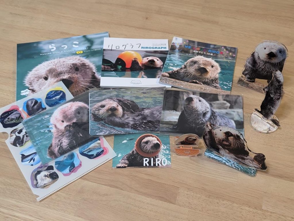 ラッコのリログッズを大紹介！マリンワールド海の中道オンライン