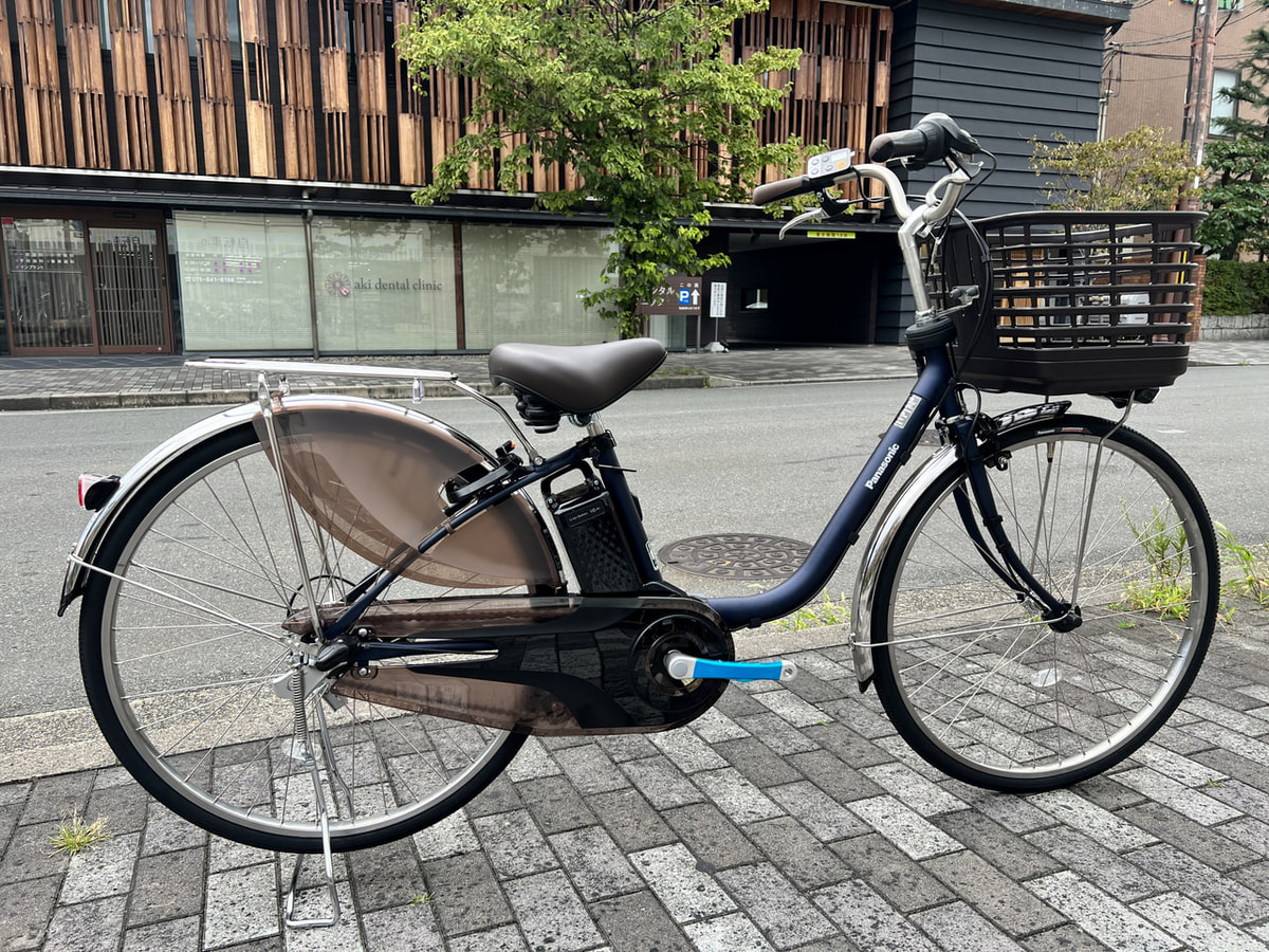 二条店】大人気ロングセラーのレアカラー!!!Panasonic VIVI