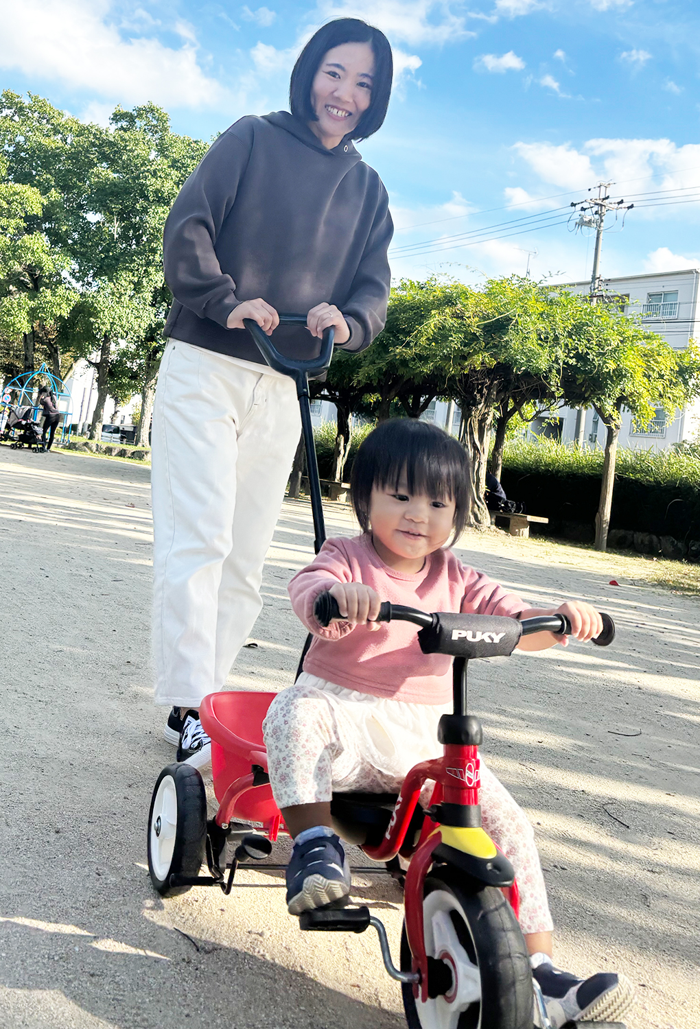 木のおもちゃ カルテット / 【日本限定・生産終了・最終モデル