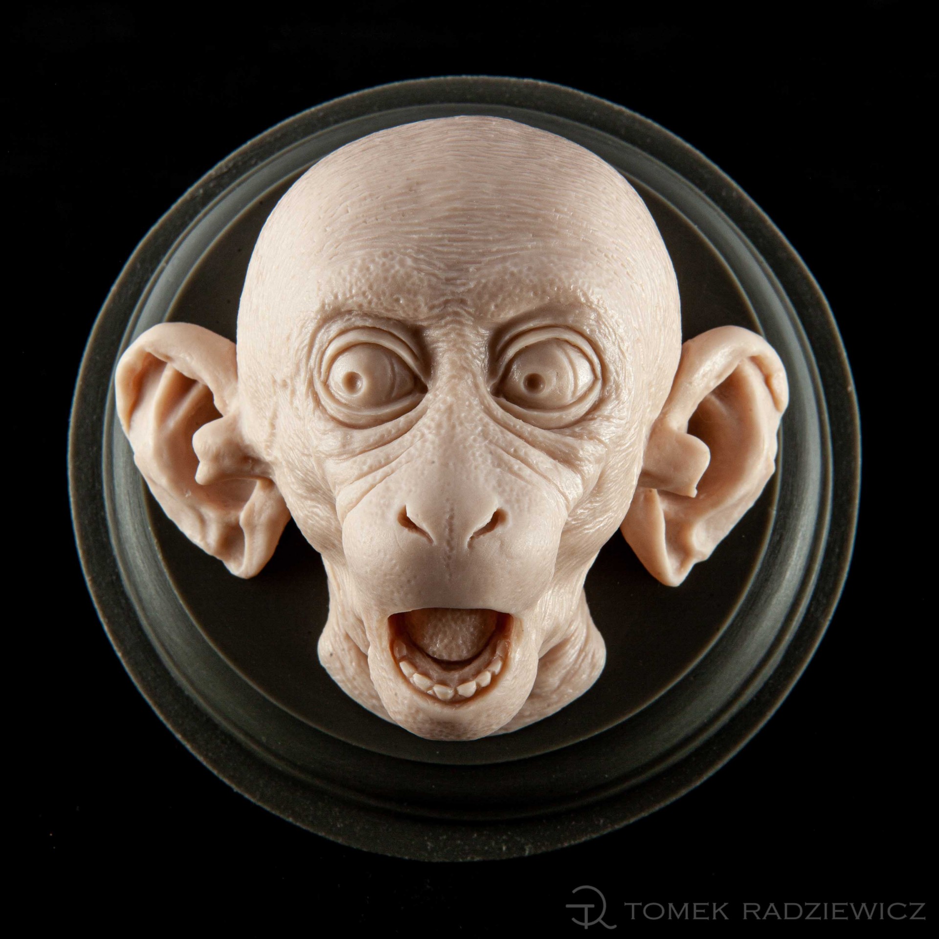 Tomek Radziewicz Official Site | Sculptor - Monkey Head II 002