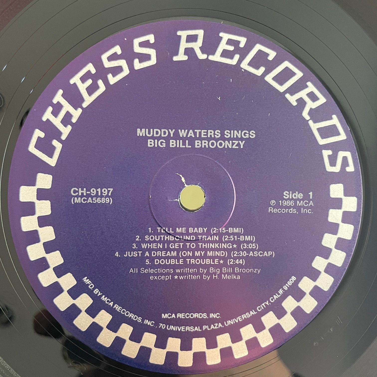 MUDDY WATERS / SINGS BIG BILL BROONZY | RECORDSHOP GG