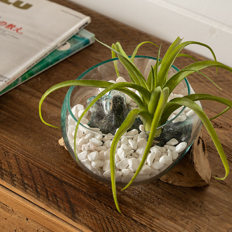 マルチングストーン 天然石 600g 化粧石 飾り石 ホワイト ブラック