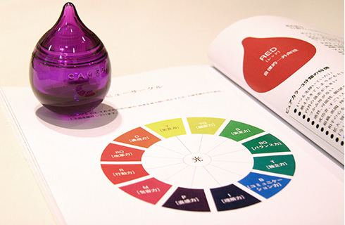 キャメスプリュスについて | 事業内容 | ロースカ | ロードアンド