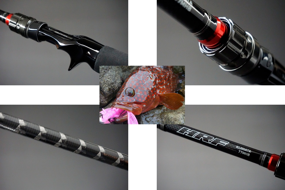 ダイワ・アングラーズリパブリックから選ぶキジハタ（アコウ）専用